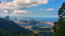 Tijuca Forest Trail Running Tour