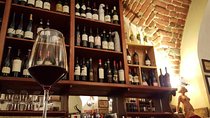 Italian Wine Tasting in Milan