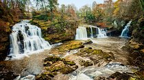 Hike World Heritage Reserve Waterfalls