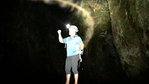 Join the Dark Side of Magical Nature