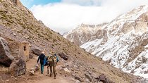  Atlas mountains and Berber villages including Lunch and Camel Ride