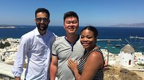 Mykonos Private Tour 