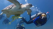 Hurghada Diving 