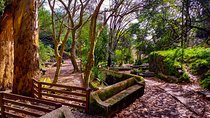 Monchique Half Day Small-Group Tour from Lagos
