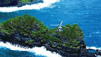 Luxury Helicopter Experience with Hana Rainforest Landing