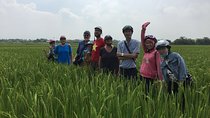 Hanoi Motorbike Tour To Countryside 1 Day