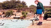 Whipsnade Zoo Entry Ticket 