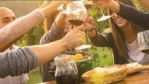 Franschoek wine tour