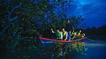 Malaysia Countryside, Batu Caves, Firefly & The River Of Life Tour