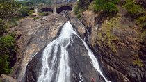 Waterfall & Plantation