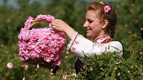 From Sofia:The Valley of the Roses&Koprivshtitsa Small Group Tour