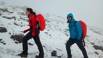 6 Days Lemosho route Climbing Mt. Kilimanjaro 