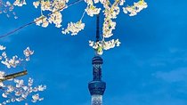 1 Day Private Charter Tokyo Sight Seeing Fully Licenced Operator