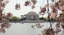 Private Tour to see the Monuments and Memorials in Washington DC