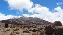 7 days Lemosho route Climbing Mt.Kilimanjaro 