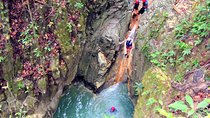 Puerto Plata: Damajagua waterfalls + Safari buggy + Horseback riding (TOP3IN1)