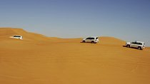 Morning Dubai Red Dunes Safari With Camel Ride & Sand boarding 