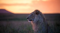 9-Days Soul of Tanzania Fly-in Safari