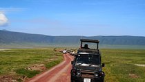 2 days Safari to Lake Manyara and Ngorongoro crater