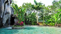 Arenal Volcano Lava Trail and Baldi Hot Springs with Dinner