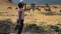 4 days Safari Lake Manyara, Ngorongoro crater and Serengeti