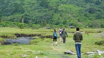 The Amaizing Private Day Trip to the lovely Arusha National Park 