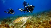 Saona Diving