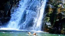 Sinharaja Rainforest Tour