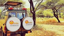 6 days Cultural tour & Lake Eyasi