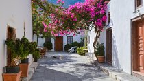 A full 8 hour Santrorini Tour (private)