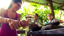 Half Day Nature Safari Float Tour and Chocolate Tour from La Fortuna-Arenal