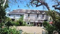 Greenwood Great House Tour from Montego Bay and Grand Palladium