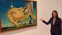 Reina Sofia Museum Private Tour