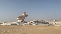 Black and White Desert Tour 2 Days 1 Night