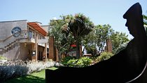 Santiago: Full-Day Neruda's Route Tour, include entraces to museums