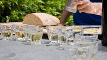 Food and Wine Small Group Tour from Barcelona - Maximum 8 people