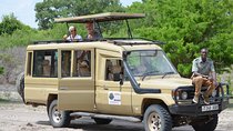 Mikumi National Park From Zanzibar Road Trip 3 Days 2 Nights 