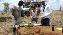 Mikumi National Park From Zanzibar 2 Days One Night Flying Option