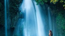 Oslob Whale shark swimming & Canyoneering Adventure, Kawasan Falls Day Tour