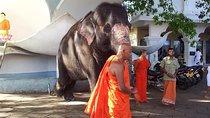 Galle Day Tour