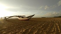 Negombo Day Tour