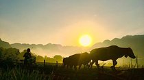 2-Day Mai Chau Valley Tour from Hanoi