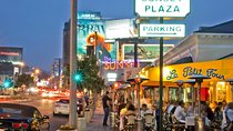 Half Day Hollywood and Beverly Hills Tour