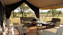 8 Days Tanzania Adventure Tented Camps Safari