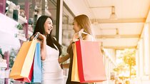 Independent Shopping Trip to Maasmechelen Village Luxury Outlet from Brussels