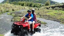 ATV Bike Tours +Phuket Big Buddha Tour