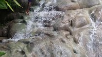Zipline, Bobsled - Dunn's River - Bob Marley From Ocho Rios 