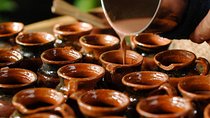 8 Days Jungle & Culinary Experience from San Jose
