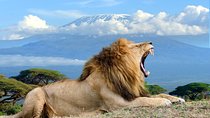 3 days Amboseli, Land of Kilimanjaro