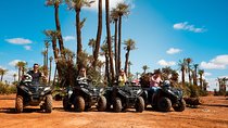  Camel Ride and Quad Biking with fresh mint Tea